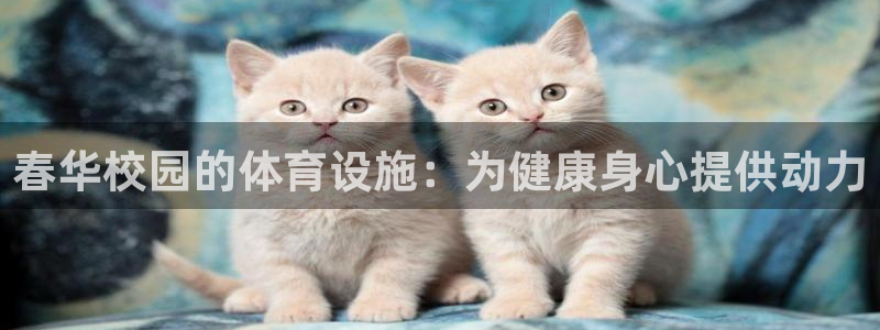 意昂体育3平台假的吗是真的吗吗：春华校园的体育设施：