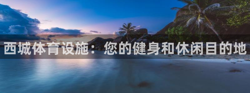 意昂体育3平台APP：西城体育设施：您的健身和休闲目