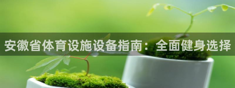 意昂3娱乐平台：安徽省体育设施设备指南：全面健身选择