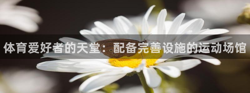 意昂3集团官网首页：体育爱好者的天堂：配备完善设施的运动场馆