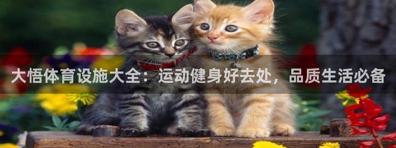 海南意昂体育3发展怎么样：大悟体育设施大全：运动健身好去处，