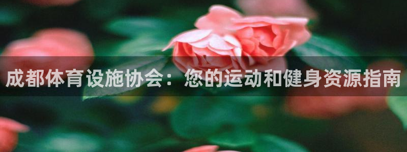 意昂体育3是干嘛的公司：成都体育设施协会：您的运动和