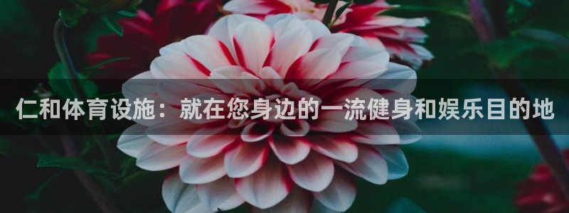 海南意昂体育3：仁和体育设施：就在您身边的一流健身和