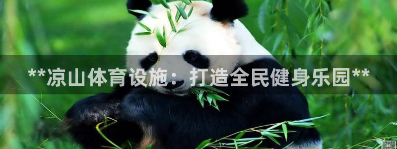 意昂3新能源：**凉山体育设施：打造全民健身乐园**