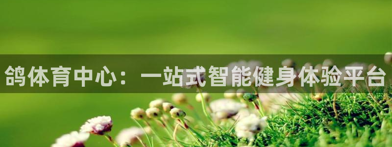 意昂体育3招商电话是多少