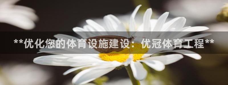 意昂体育3招商电话是多少号码：**优化您的体育设施建设：优冠