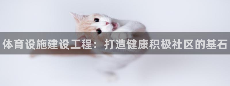 意昂3集团官网首页：体育设施建设工程：打造健康积极社区的基石