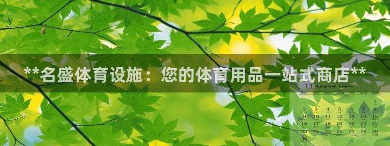 意昂3集团官网网址：**名盛体育设施：您的体育用品一站式商店