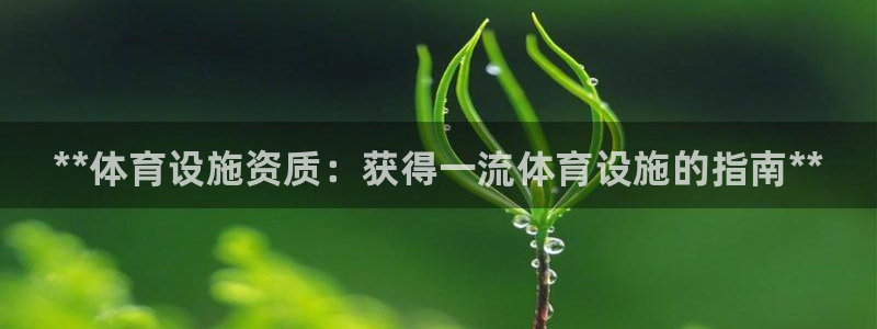 意昂体育3开户：**体育设施资质：获得一流体育设施的指南**