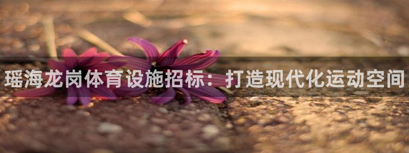 意昂体育3平台注册流程图：瑶海龙岗体育设施招标：打造