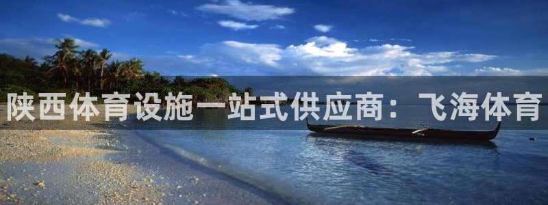 德国意昂3集团：陕西体育设施一站式供应商：飞海体育