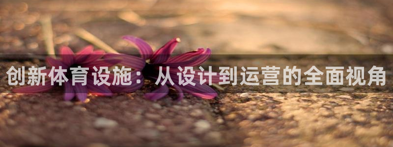 意昂体育3招商电话地址查询：创新体育设施：从设计到运营的全面