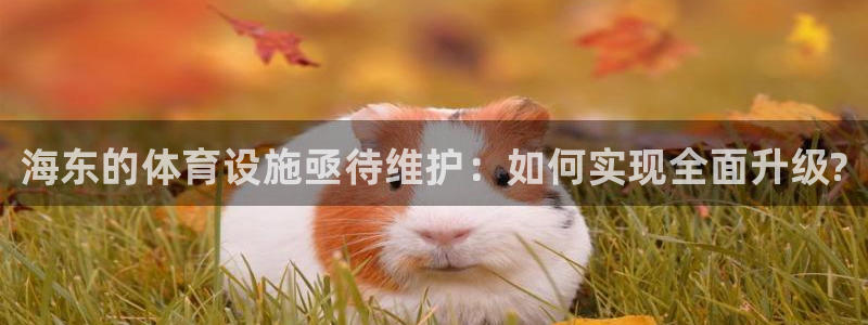 意昂3集团：海东的体育设施亟待维护：如何实现全面升级?