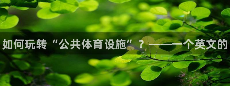 意昂体育3平台是正规平台吗安全吗：如何玩转“公共体育