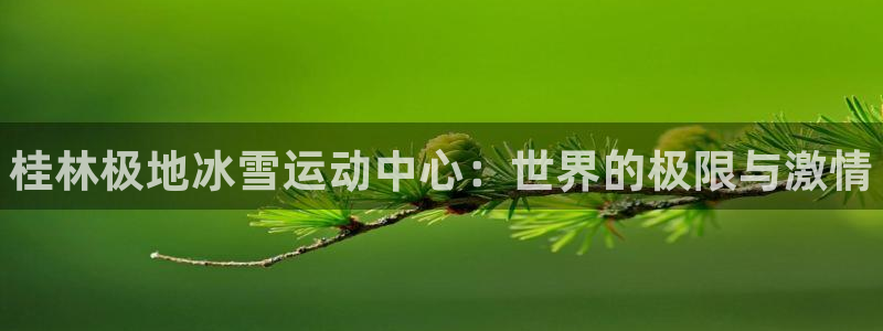 意昂体育3招商电话号码是多少号：桂林极地冰雪运动中心