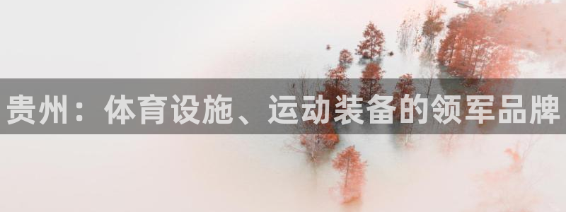 意昂3五金厂：贵州：体育设施、运动装备的领军品牌