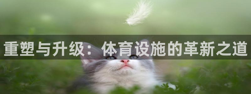 意昂3开户：重塑与升级：体育设施的革新之道