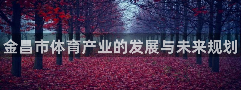 意昂体育3招商电话：金昌市体育产业的发展与未来规划