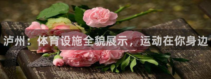 意昂3五金厂：泸州：体育设施全貌展示，运动在你身边 