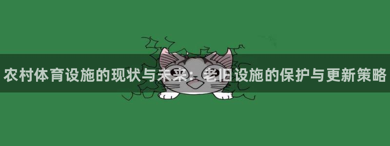 意昂体育3平台注册：农村体育设施的现状与未来：老旧设施的保护