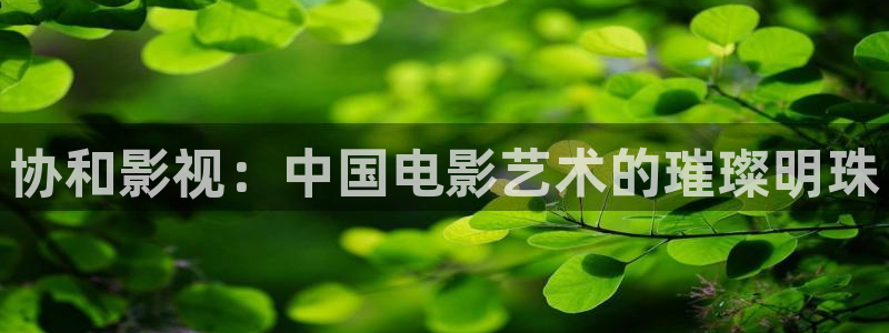 天狼影院y：协和影视：中国电影艺术的璀璨明珠