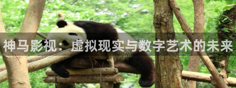 天狼影院日韩：神马影视：虚拟现实与数字艺术的未来