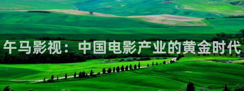 天狼 电影：午马影视：中国电影产业的黄金时代