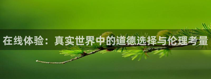 天狼私人影院：在线体验：真实世界中的道德选择与伦理考量