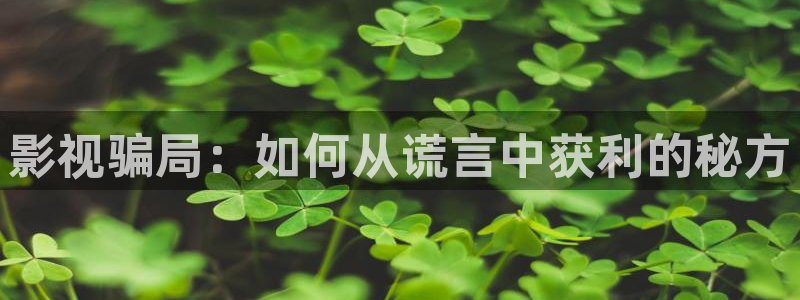 天狼私人影院：影视骗局：如何从谎言中获利的秘方